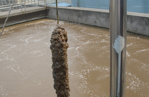 水處理填料對污水的實際處理作用